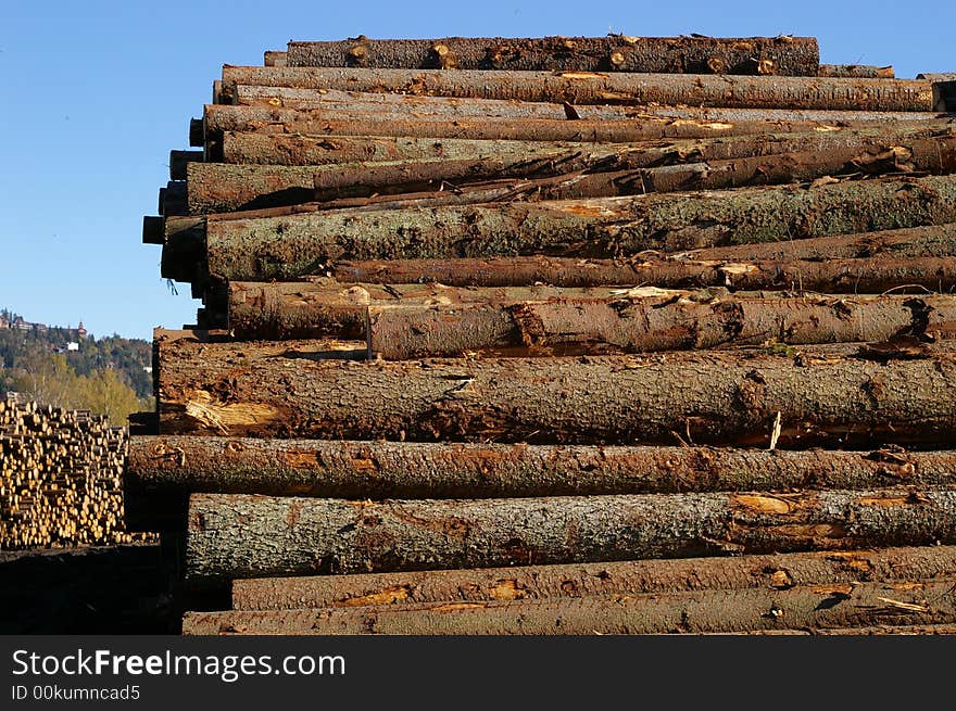 Stacks of log piles of spruce. Stacks of log piles of spruce