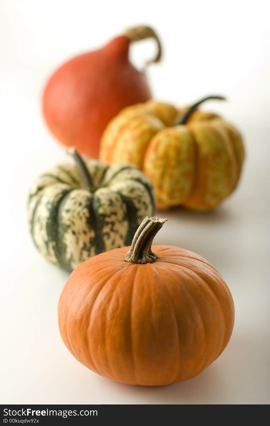 Mixed pumpkins on white close up shoot