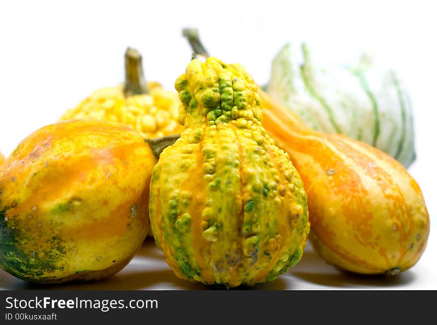 Colorful mini pumpkins on white background