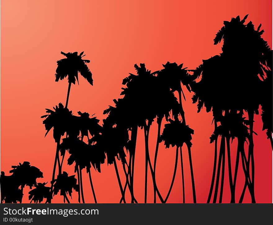 Coconut palm trees silhouettes - graphic illustration. Coconut palm trees silhouettes - graphic illustration