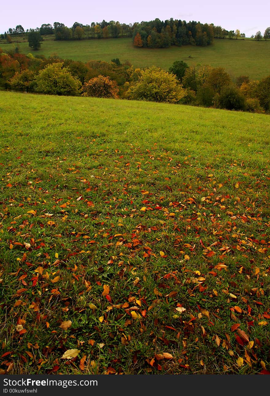 Autumn Landscape