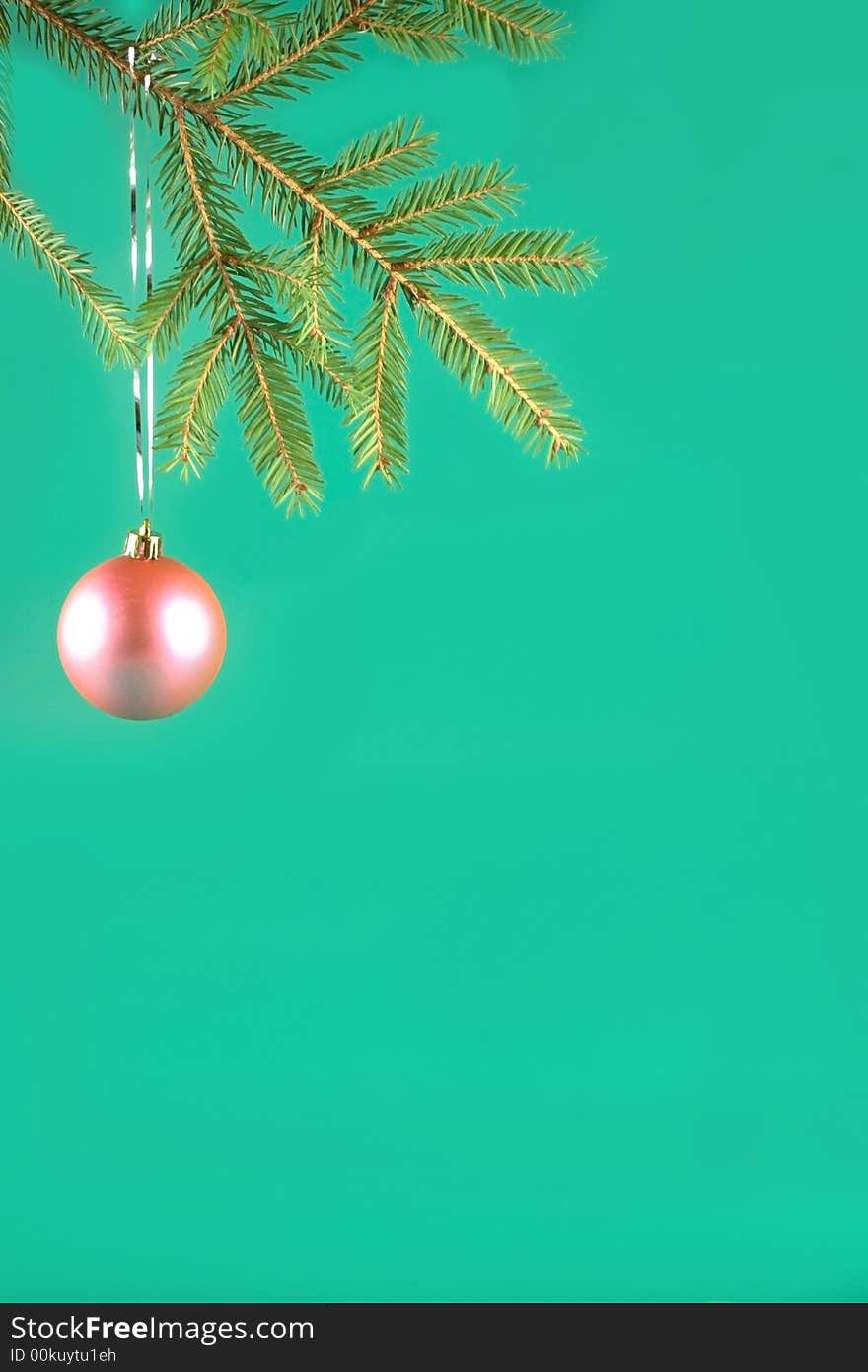 Pink ball on a fur-tree branch on a green background.