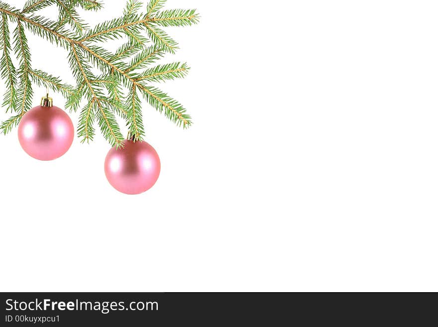 Two pink balls on a fur-tree branch on a white background.