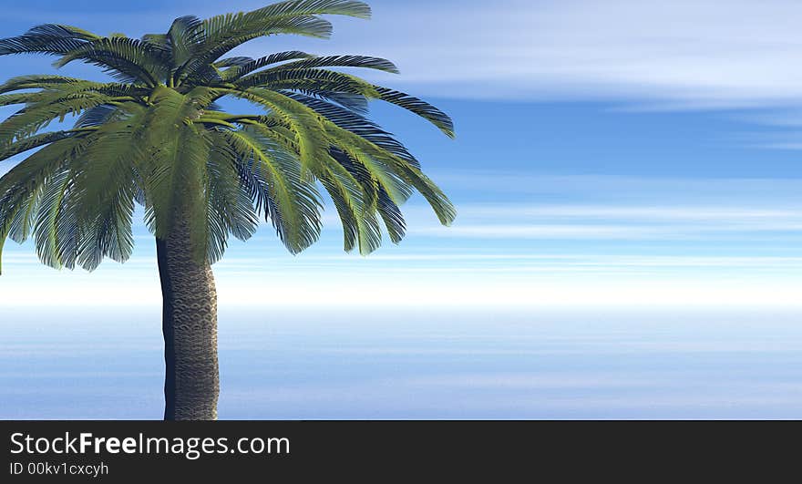 Beautiful landscape with palm. 3d image