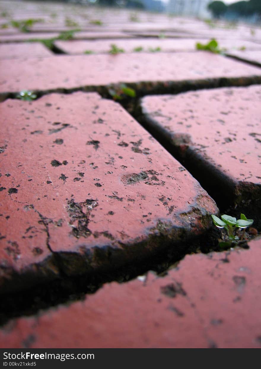 A shot of a floor tiled with bricks. A shot of a floor tiled with bricks