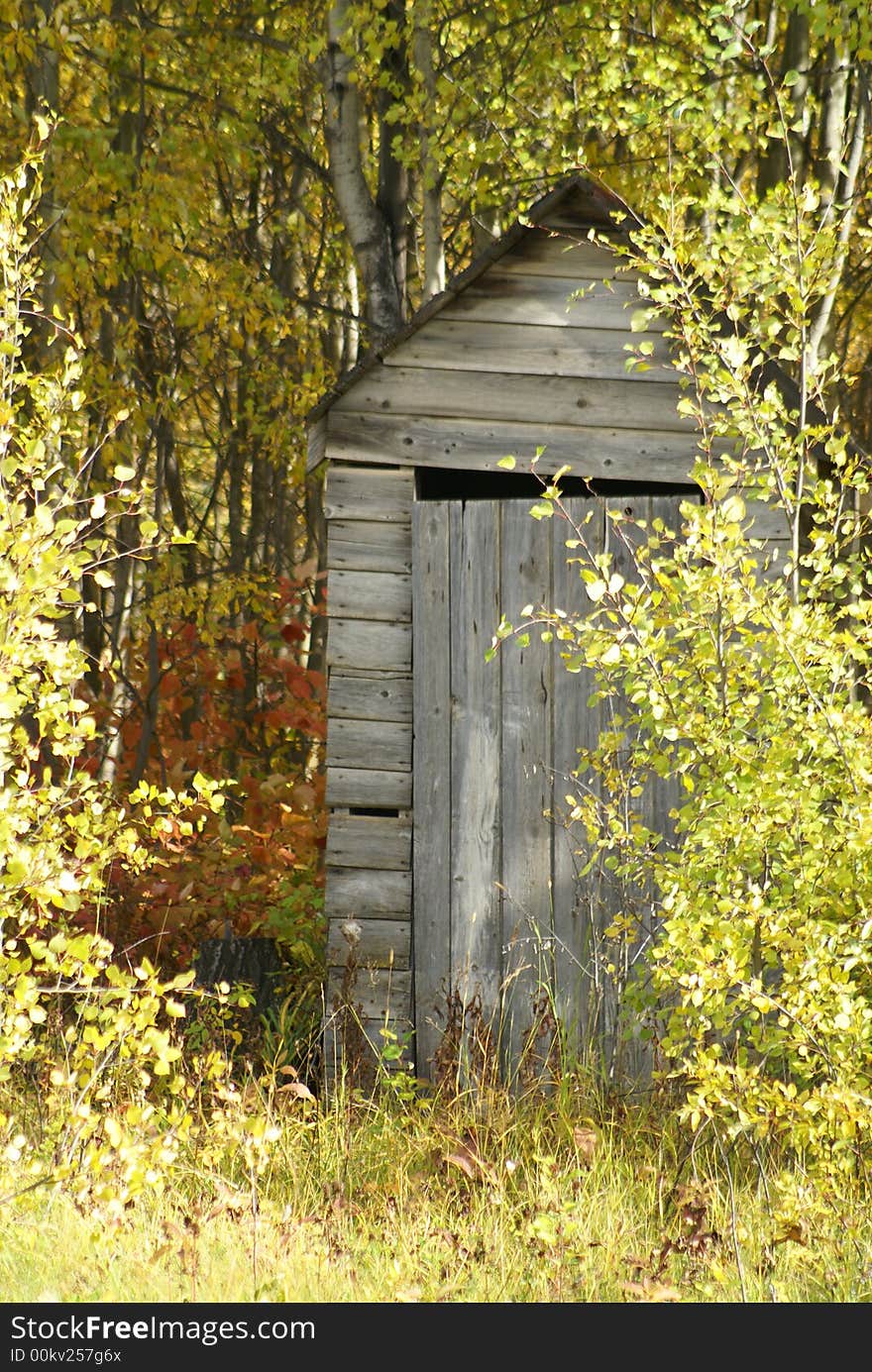 Outside wood bathroom outhouse overgrown in rural bush. Outside wood bathroom outhouse overgrown in rural bush.