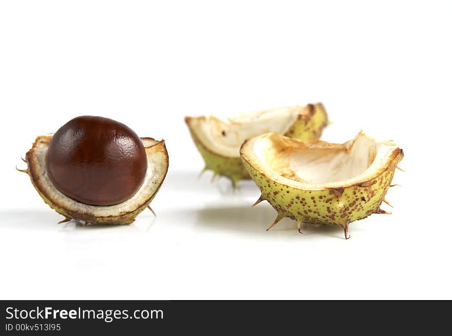 Chestnut isolated on white background. real autumn