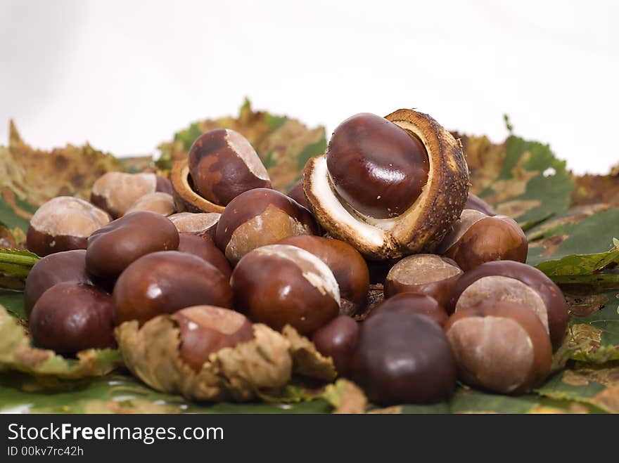 Autumn leaves and chestnuts - isolated