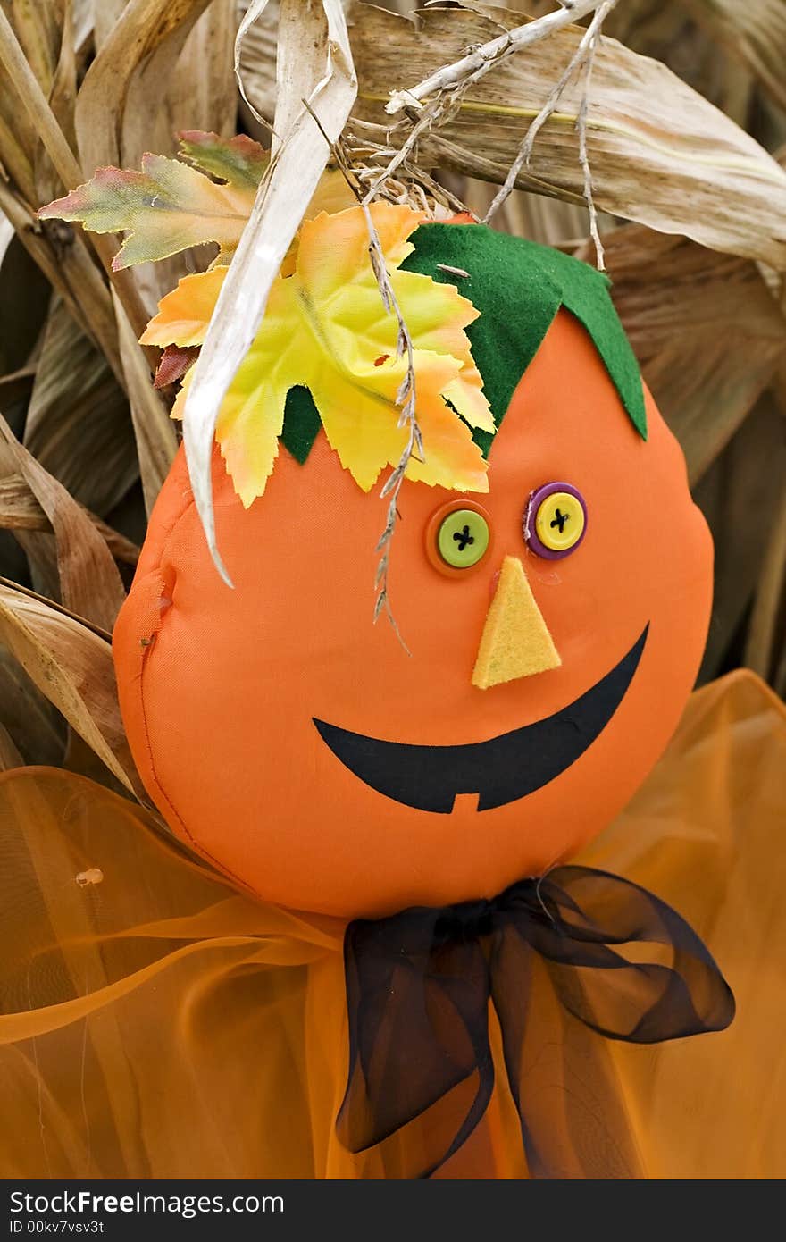 A fall scarecrow against dried corn stalks. A fall scarecrow against dried corn stalks.