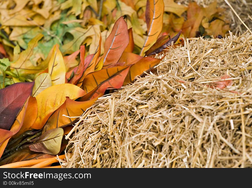 A background for Autumn of warm colors - colorful leaves and straw. A background for Autumn of warm colors - colorful leaves and straw.