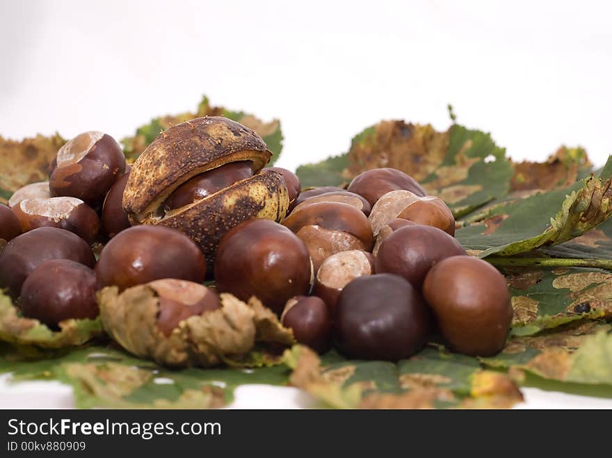 Autumn leaves and chestnuts - isolated