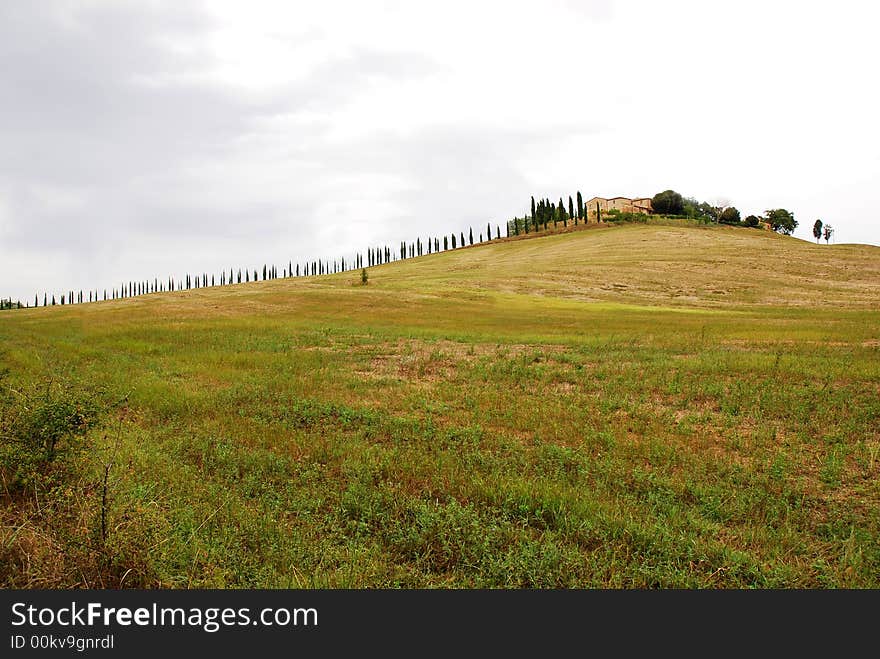 The typical Panorama in Tuscany. The typical Panorama in Tuscany