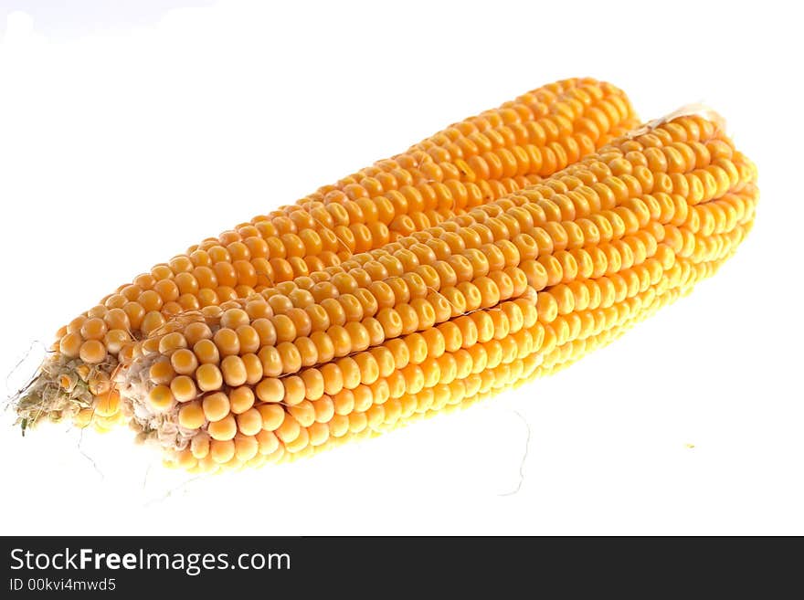 Two big golden color cornes on white isolated