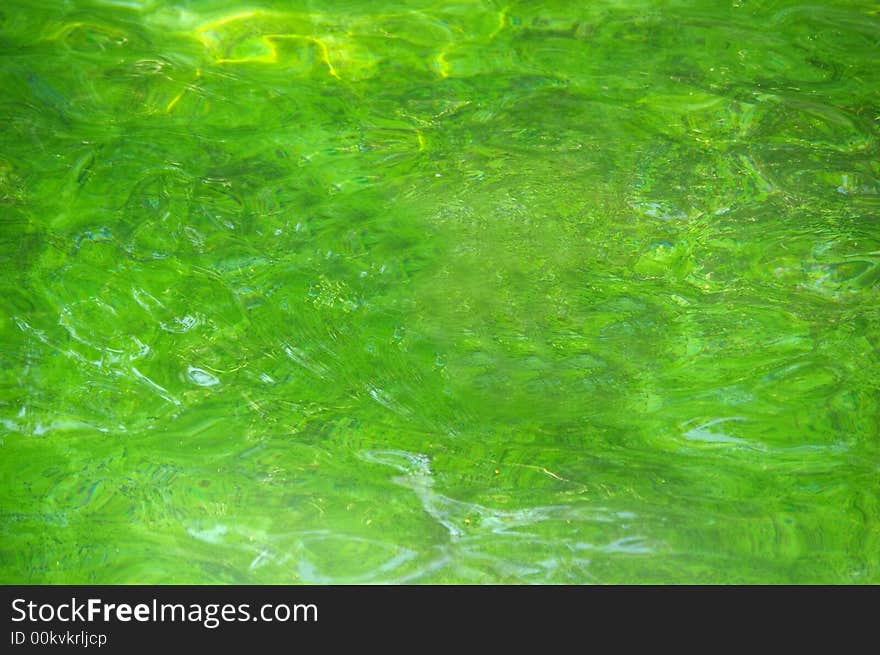 Green water surface. Water texture.