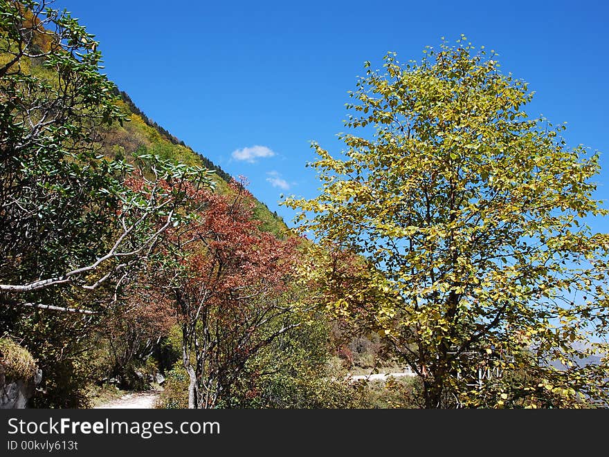 Those mountains are in the sichuan of china. It's name is huanglong.