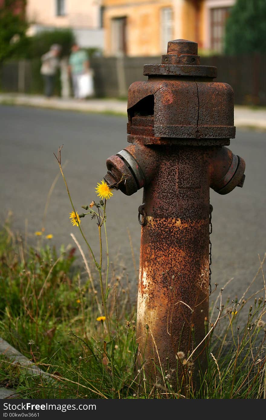 Rusty Old Hydrant