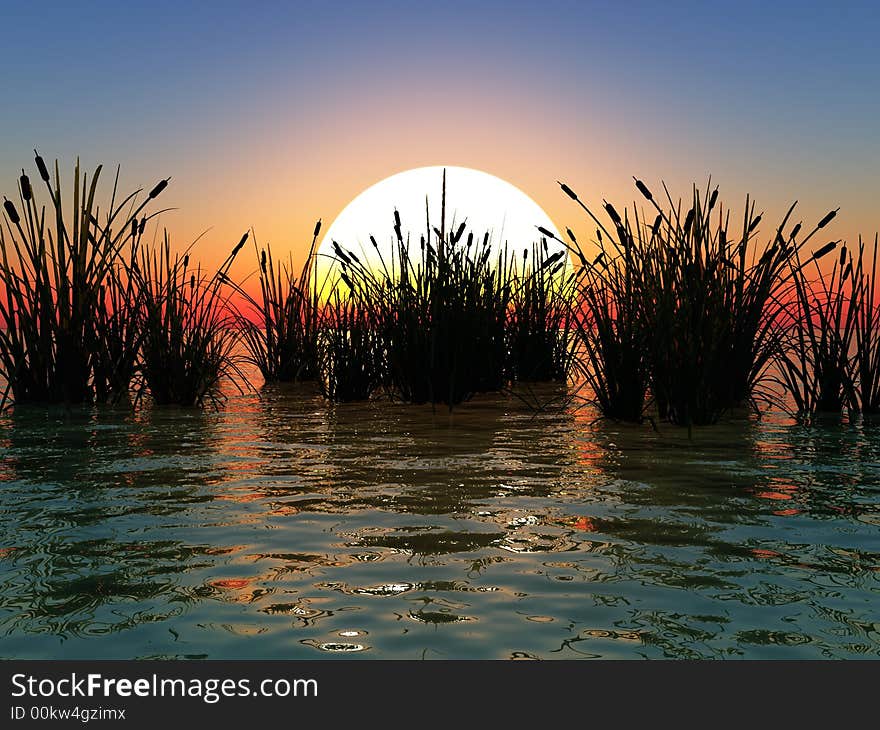 Water plants on a sea sunset  background  -  3D scene. Water plants on a sea sunset  background  -  3D scene.