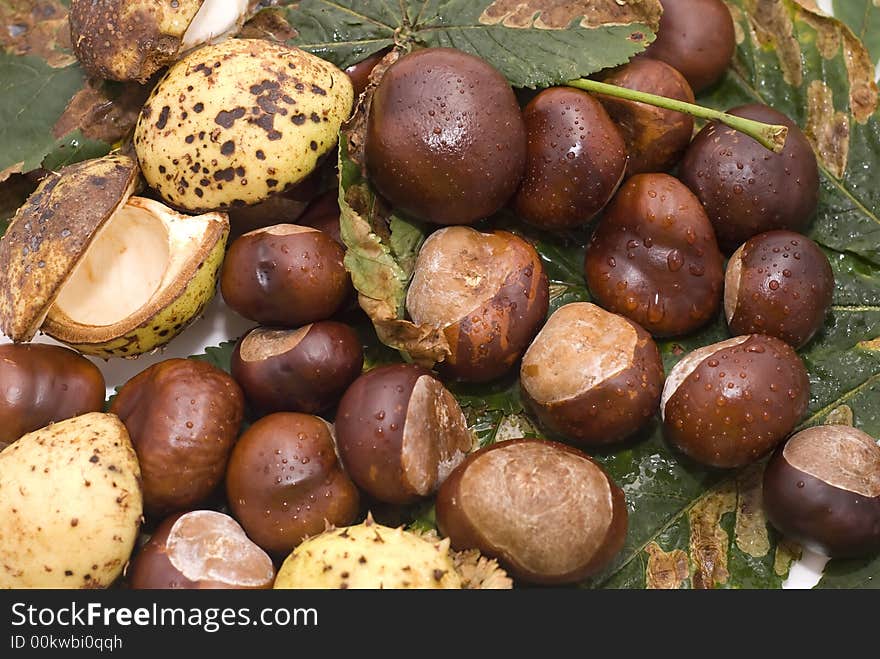 Autumn leaves and chestnuts - isolated