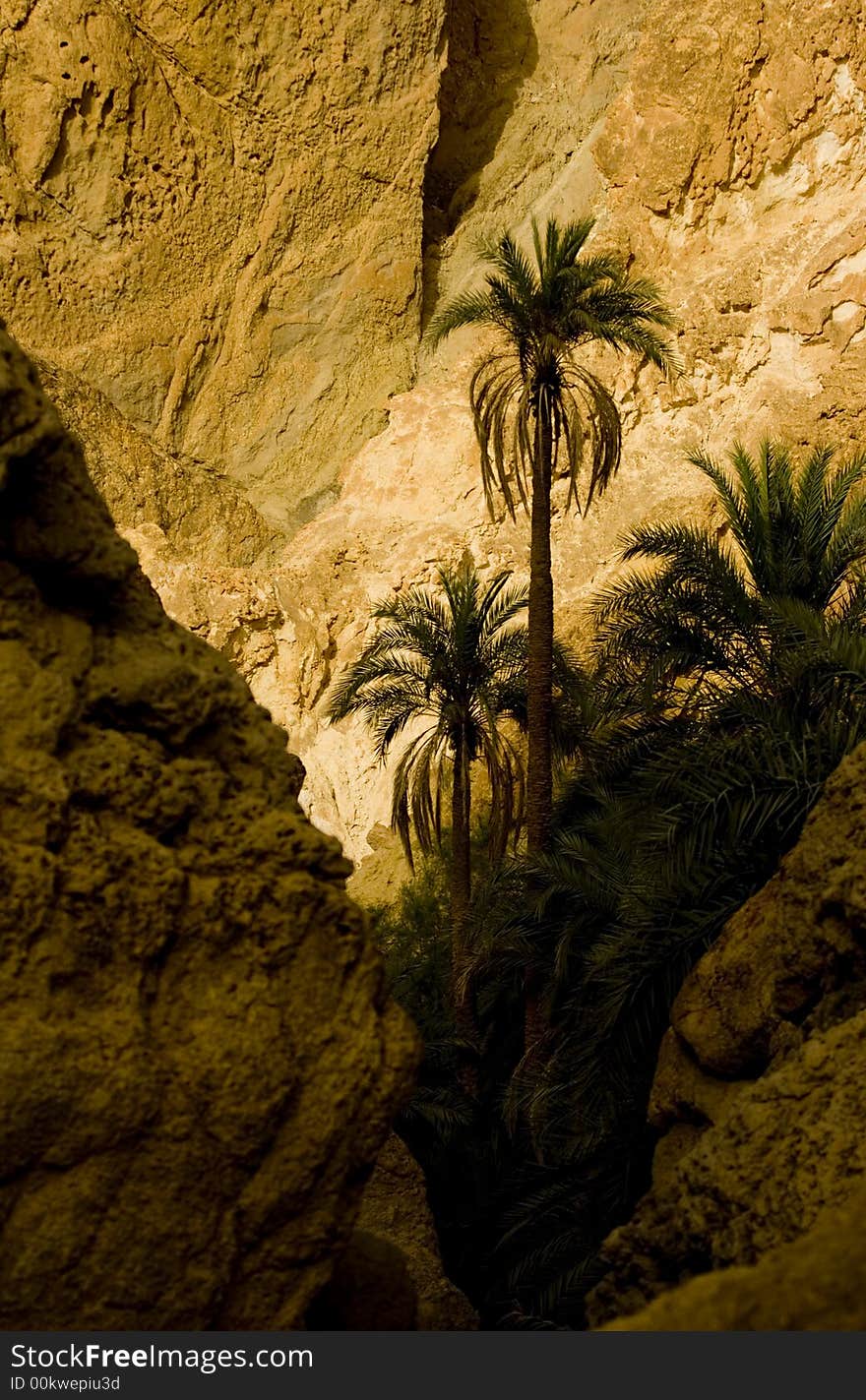 Arid landscape near Sahara Desert