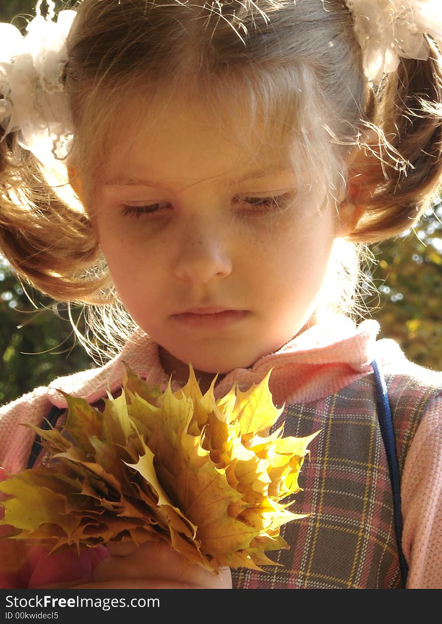 Little pretty girl with autumnal leaves bouquet. Little pretty girl with autumnal leaves bouquet