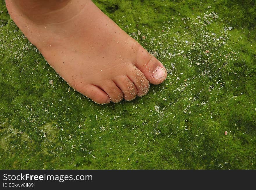 Child's foot stepping onto green moss. Child's foot stepping onto green moss