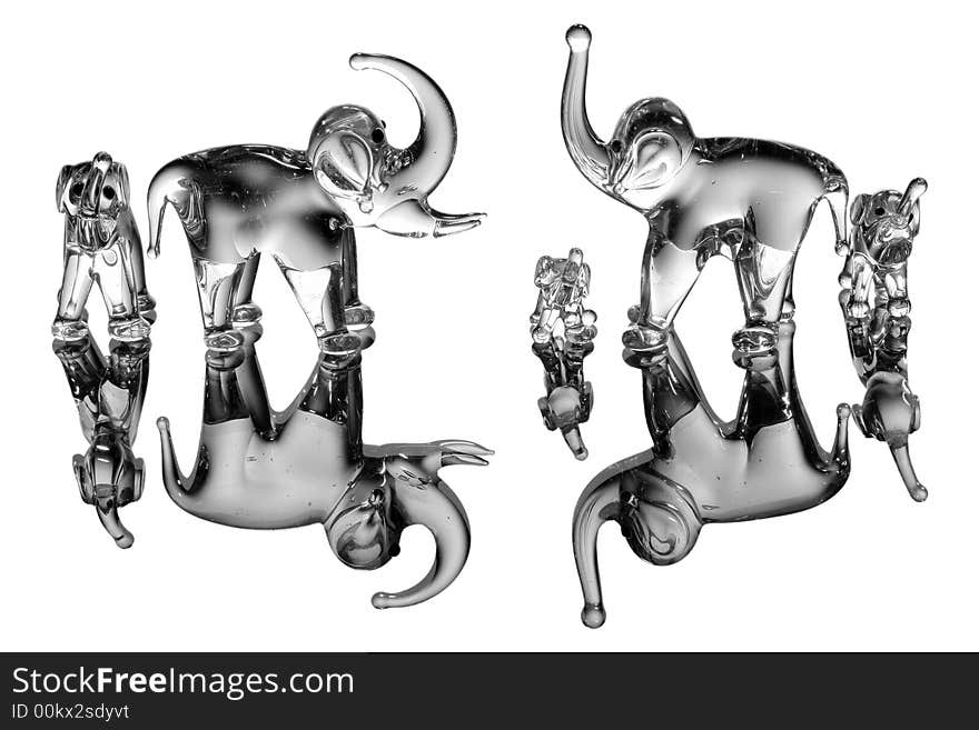 Elephant statues on white with reflection