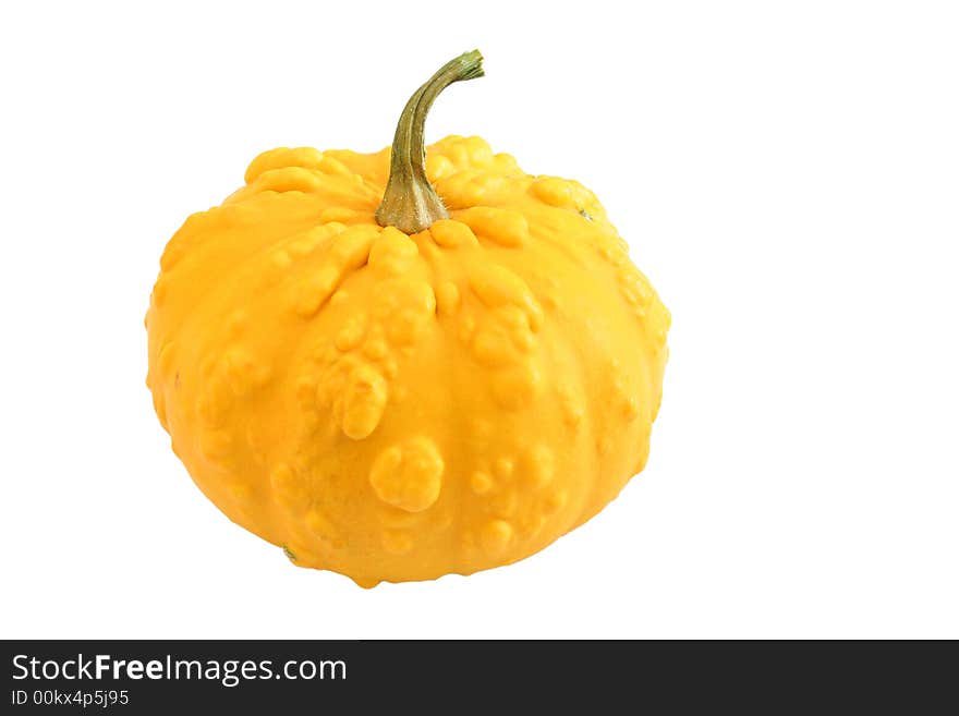 Ornamental squash isolated on white