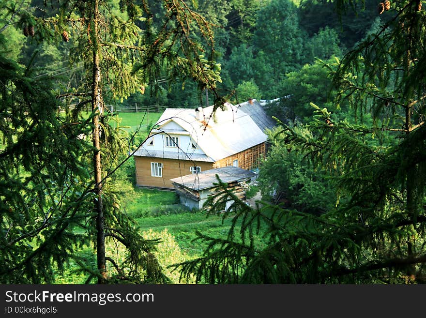 House in the forest