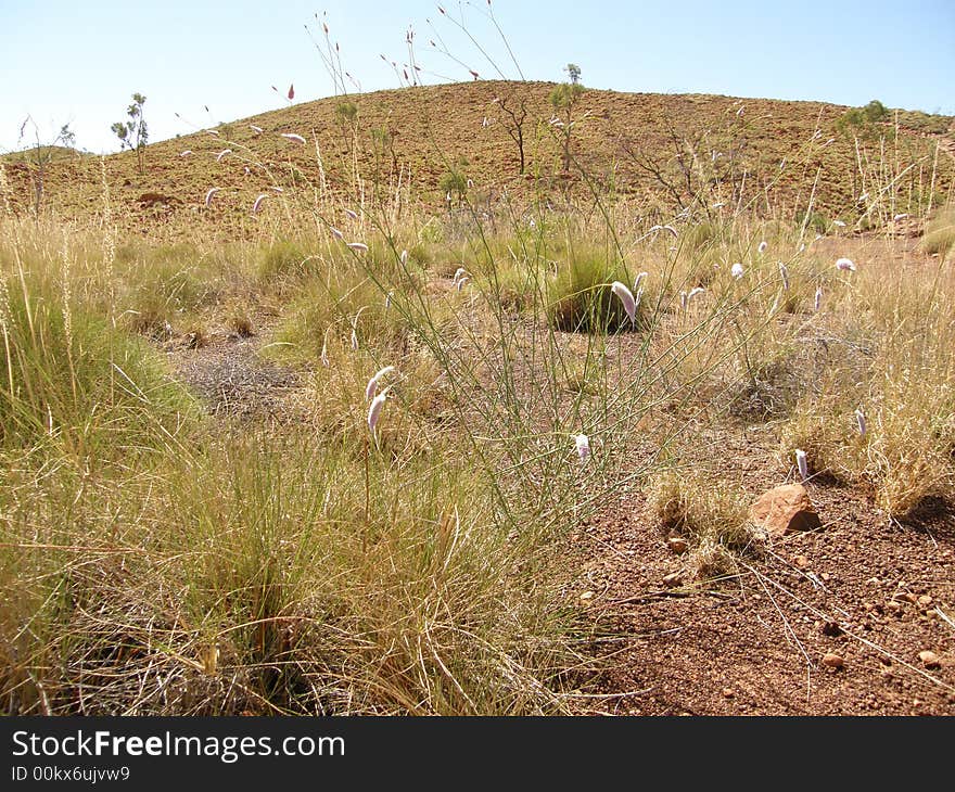 Wolfe Creek Meteorite Crater