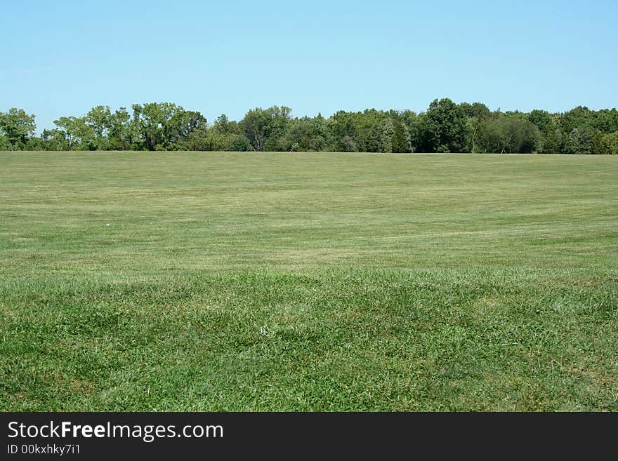 Field with blue sky