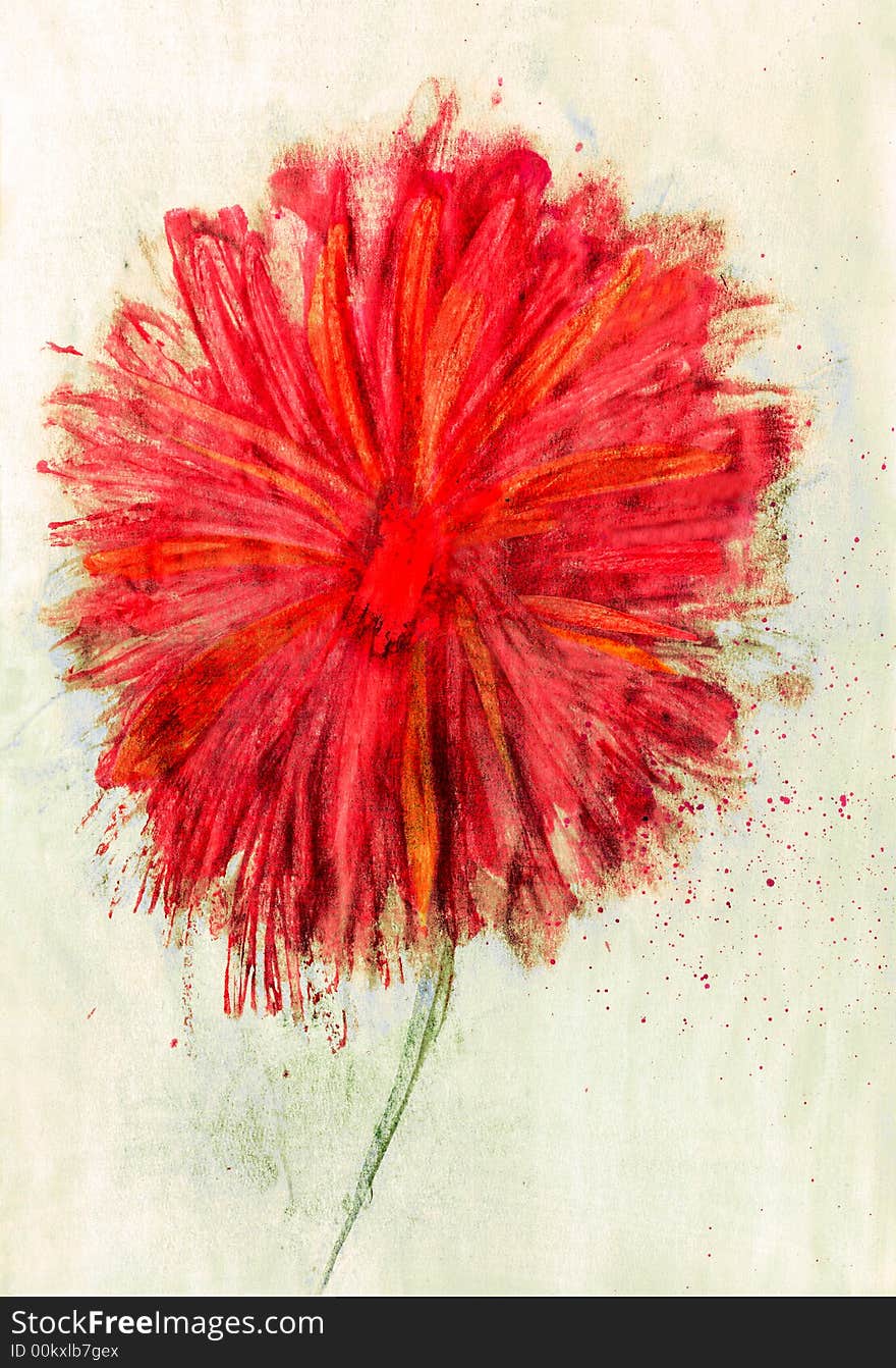 Red aster on a light background