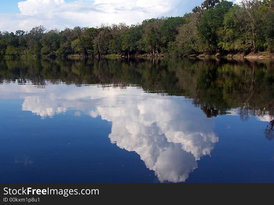 Suwannee River Reflections