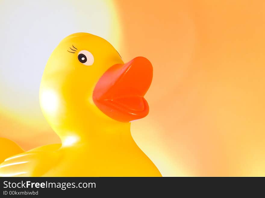 Rubber duck