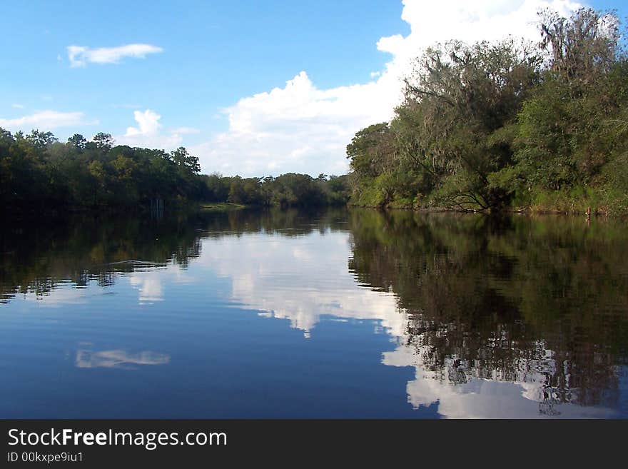 Suwannee River Reflections