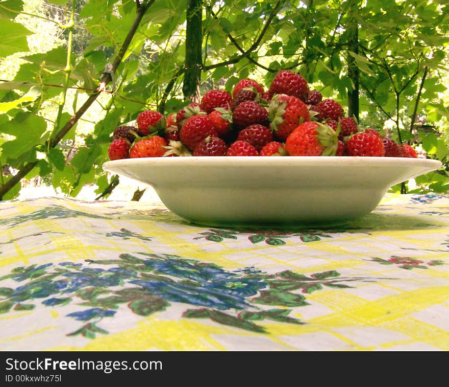 Strawberry on a green background