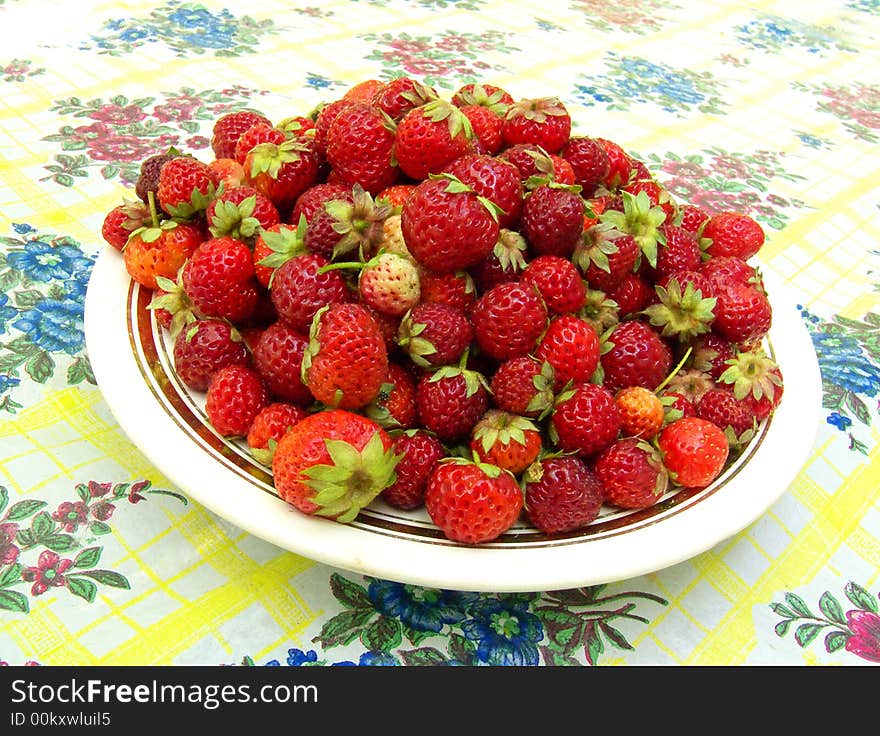 Strawberry on a color background