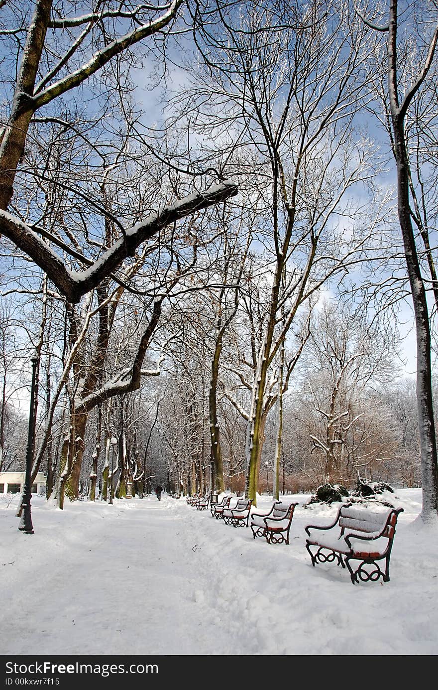 Red benches in a park covered with snow. Red benches in a park covered with snow