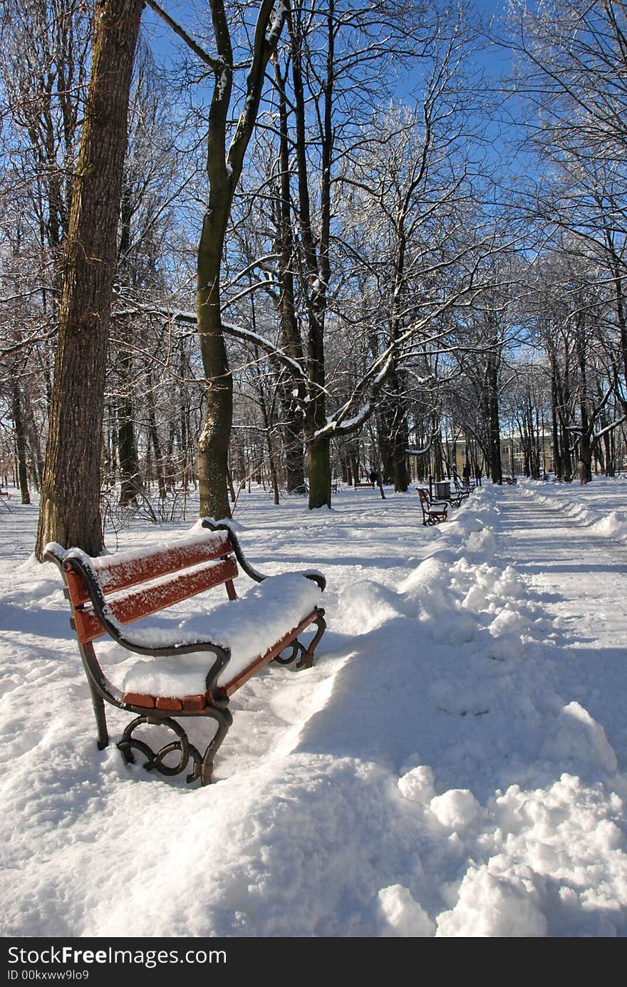 Red benches in a park covered with snow. Red benches in a park covered with snow