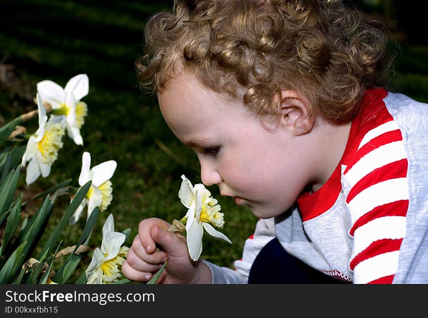 Smelling the Flowers