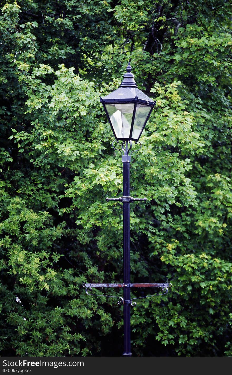 Streetlight in the green park