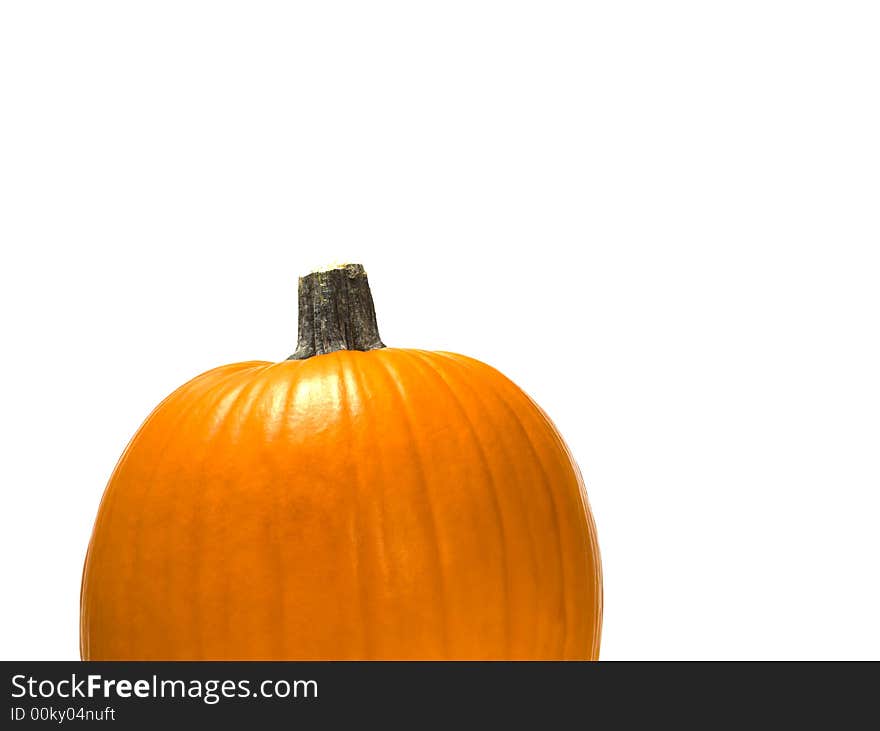 Bright orange pumpkin on white background with copy space