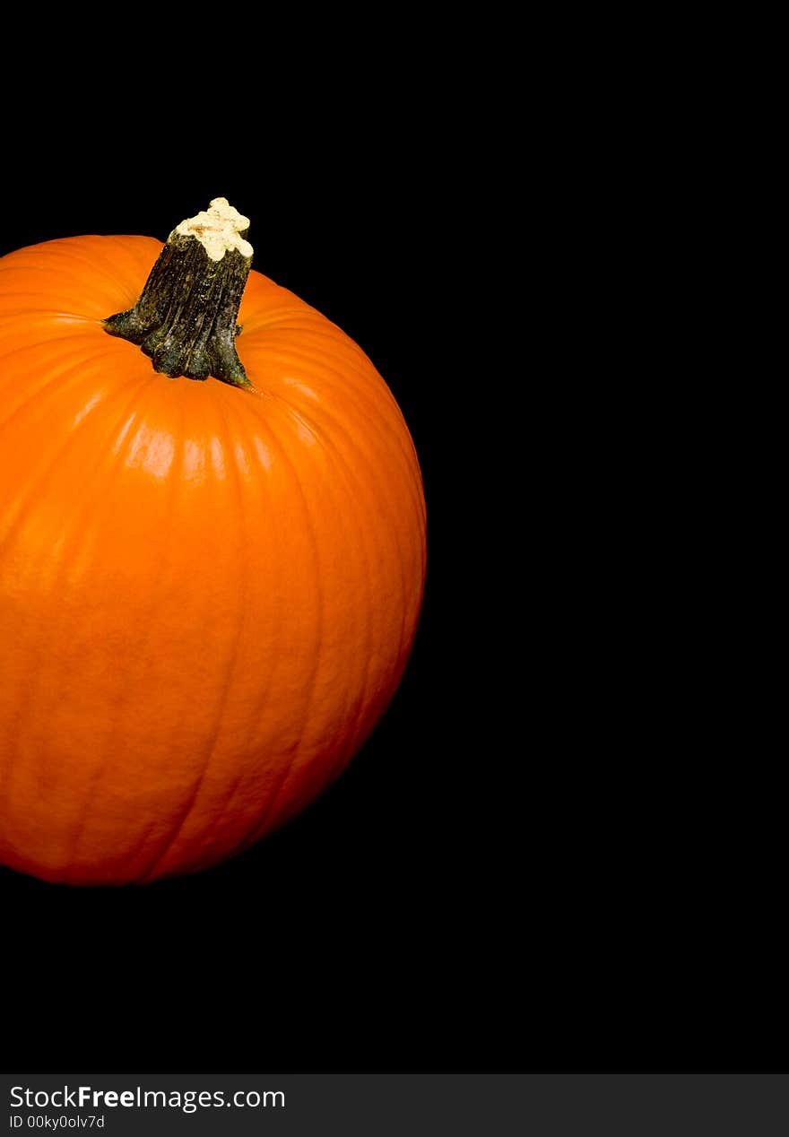 Orange pumpkin with stem on a black background. Orange pumpkin with stem on a black background