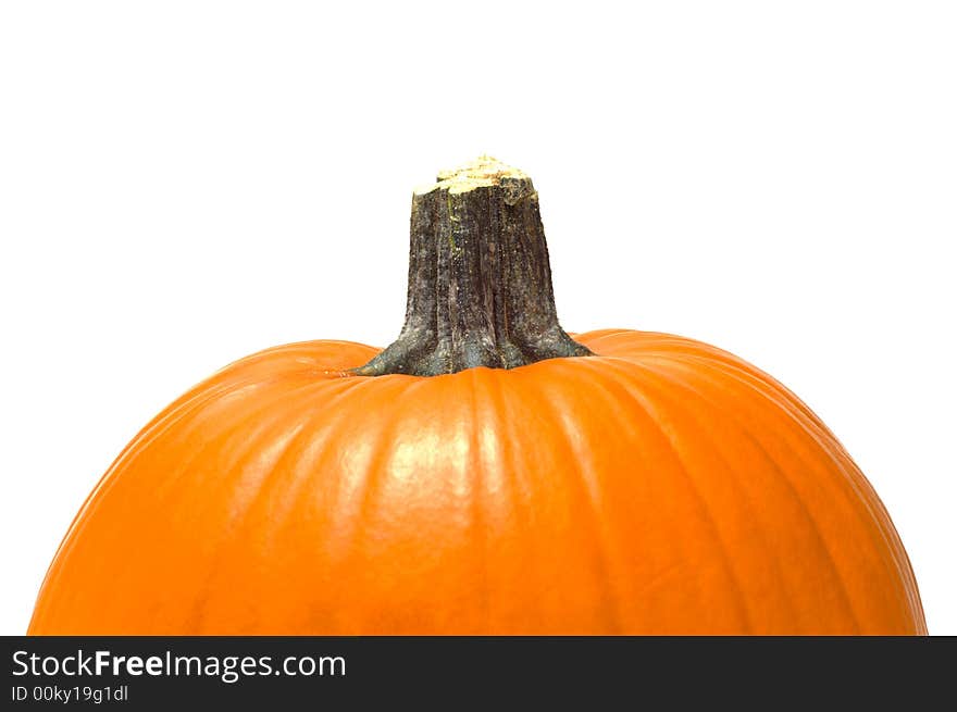 Bright orange pumpkin on white background with copy space