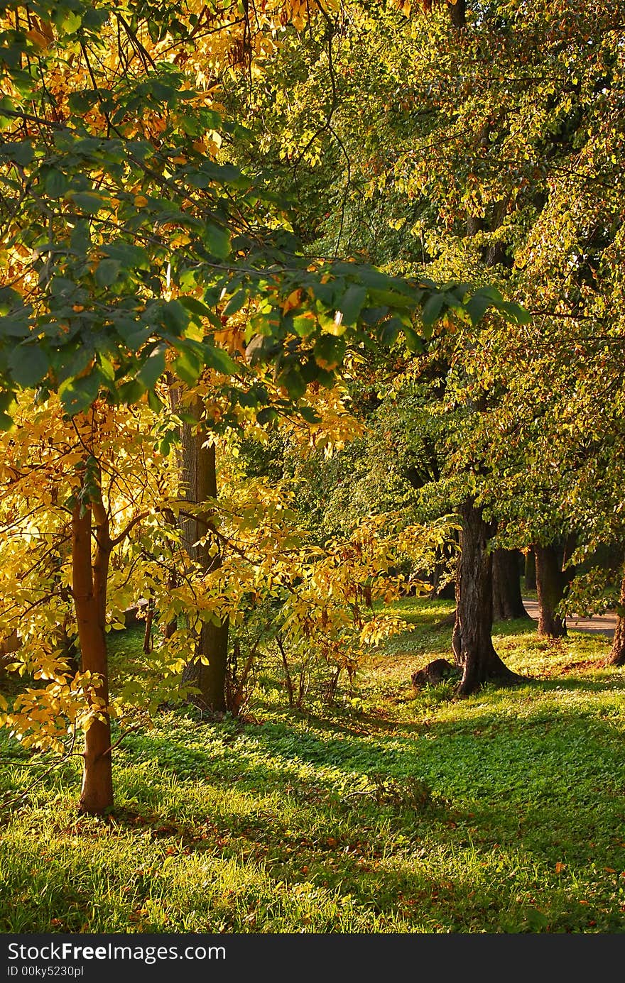 Colorful park alley in autumn. Colorful park alley in autumn