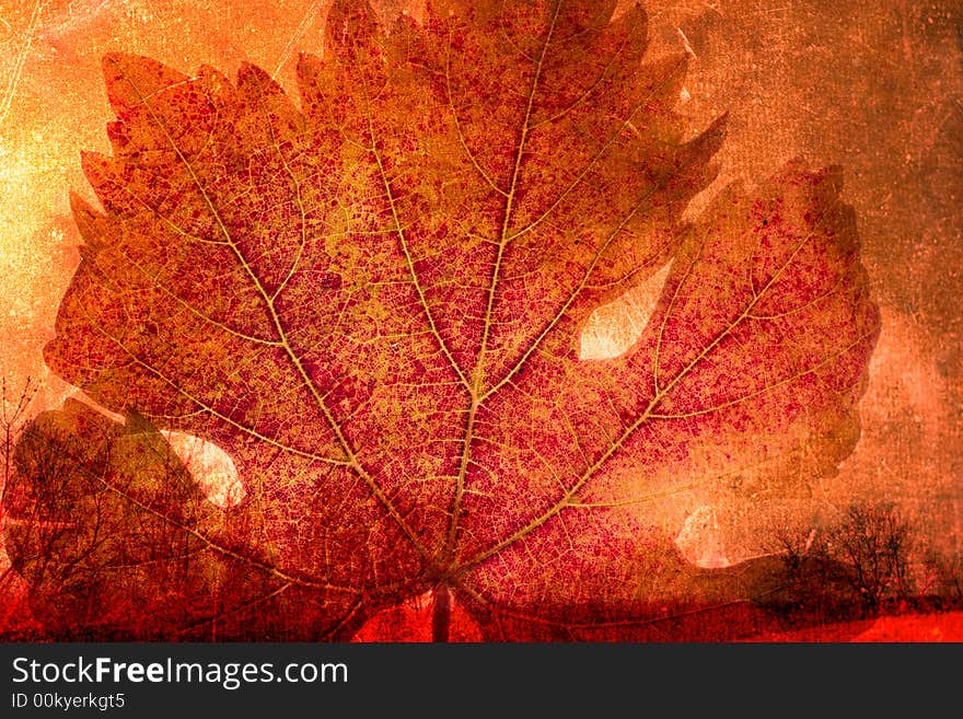 Grunge Autumn Background