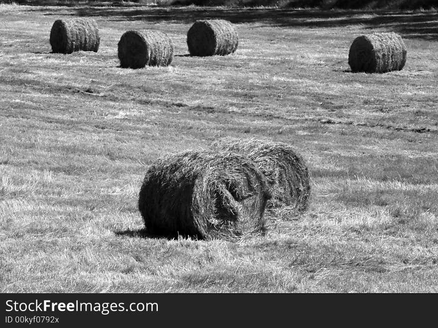 Hay field in summer somewhere in Polish village. Hay field in summer somewhere in Polish village