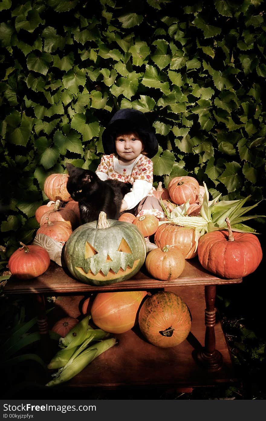 Old-styled photo of little girl in hat with pumpkins and black cat. Special toned photo f/x, vignette added, copy space on top. Old-styled photo of little girl in hat with pumpkins and black cat. Special toned photo f/x, vignette added, copy space on top