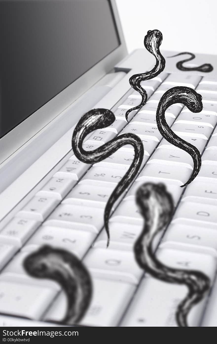 Computer Has Worms!