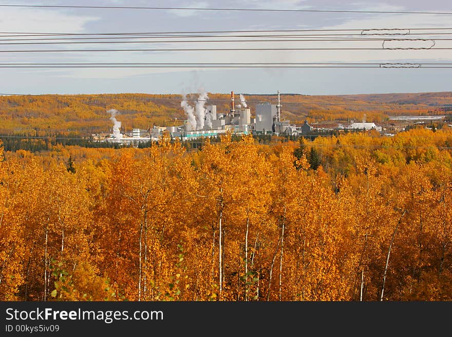 An industrial pulp plant in the beautiful autumn season.  Power transmission lines in the foreground. An industrial pulp plant in the beautiful autumn season.  Power transmission lines in the foreground.