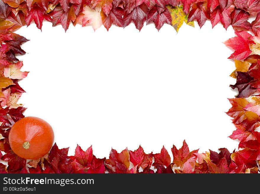 Vine leaves frame and pumpkin on white background. Vine leaves frame and pumpkin on white background